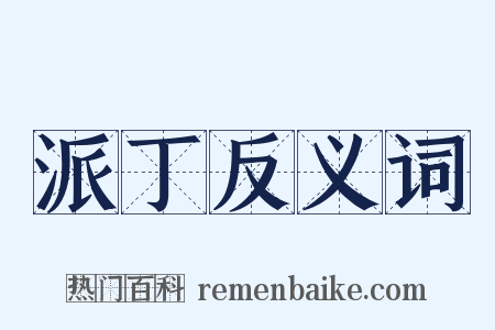 派丁反义词是什么意思的图片